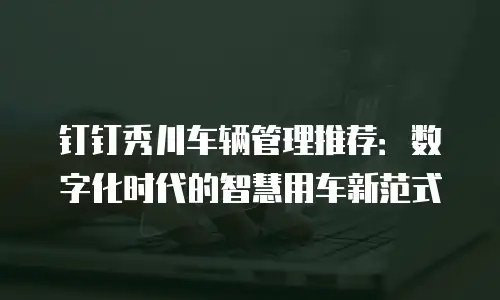 钉钉秀川车辆管理推荐：数字化时代的智慧用车新范式