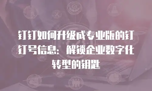 钉钉如何升级成专业版的钉钉号信息：解锁企业数字化转型的钥匙