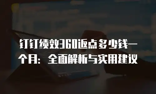 钉钉绩效360返点多少钱一个月：全面解析与实用建议
