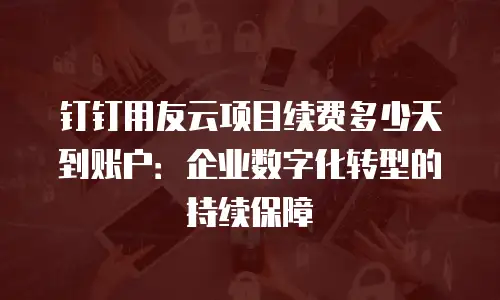 钉钉用友云项目续费多少天到账户：企业数字化转型的持续保障