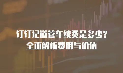 钉钉记道管车续费是多少？全面解析费用与价值
