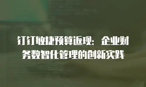 钉钉敏捷预算返现：企业财务数智化管理的创新实践