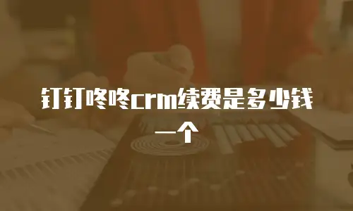 钉钉咚咚crm续费是多少钱一个