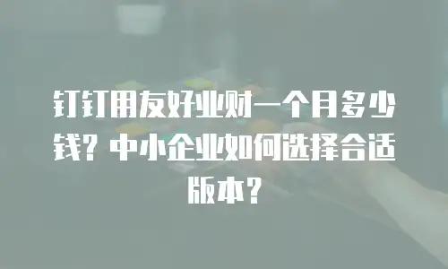 钉钉用友好业财一个月多少钱？中小企业如何选择合适版本？
