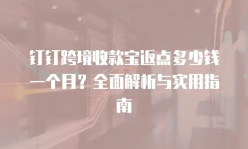 钉钉跨境收款宝返点多少钱一个月？全面解析与实用指南