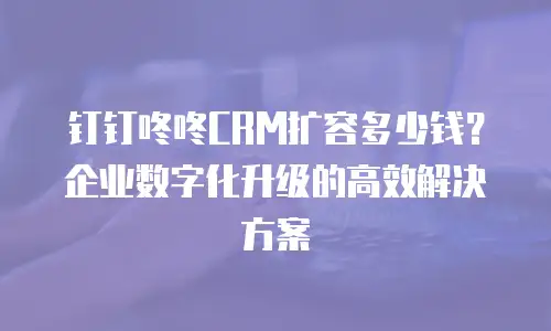 钉钉咚咚CRM扩容多少钱？企业数字化升级的高效解决方案