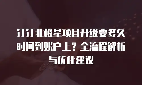 钉钉北极星项目升级要多久时间到账户上？全流程解析与优化建议