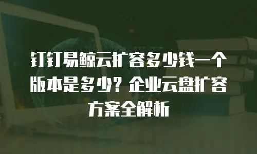 钉钉易鲸云扩容多少钱一个版本是多少？企业云盘扩容方案全解析