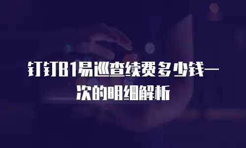 钉钉B1易巡查续费多少钱一次的明细解析