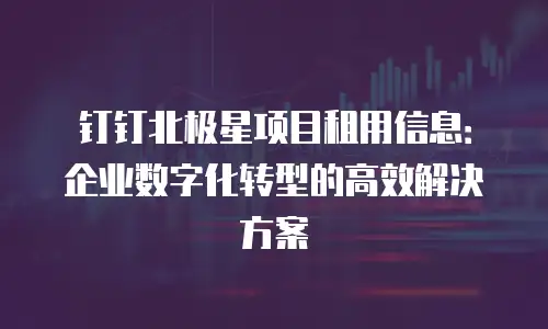 钉钉北极星项目租用信息：企业数字化转型的高效解决方案