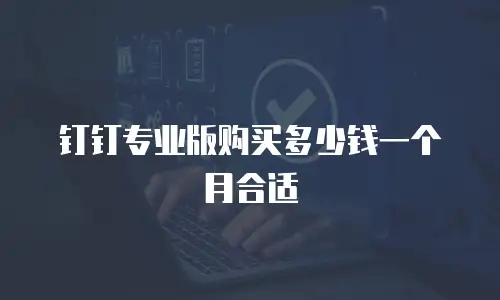钉钉专业版购买多少钱一个月合适