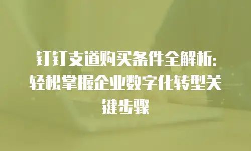 钉钉支道购买条件全解析：轻松掌握企业数字化转型关键步骤