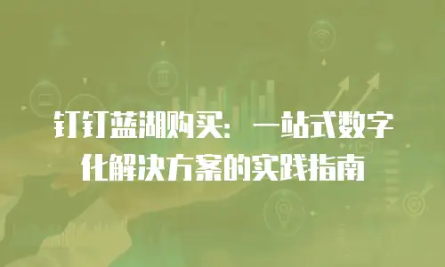 钉钉蓝湖购买：一站式数字化解决方案的实践指南