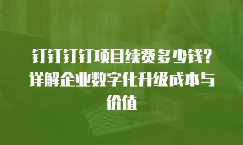 钉钉钉钉项目续费多少钱？详解企业数字化升级成本与价值