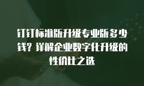 钉钉标准版升级专业版多少钱？详解企业数字化升级的性价比之选