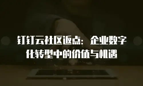 钉钉云社区返点：企业数字化转型中的价值与机遇