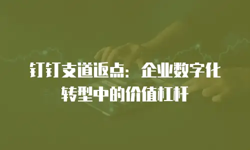 钉钉支道返点：企业数字化转型中的价值杠杆