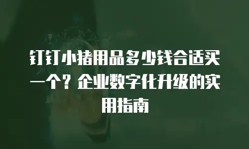 钉钉小猪用品多少钱合适买一个？企业数字化升级的实用指南