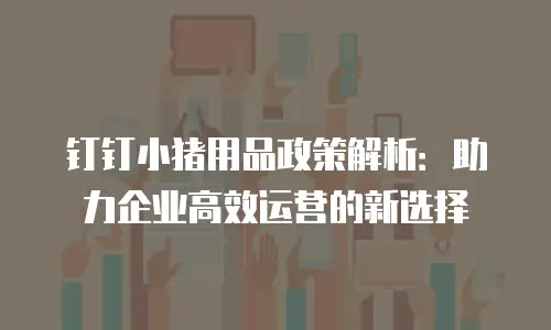 钉钉小猪用品政策解析：助力企业高效运营的新选择