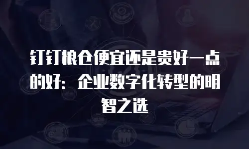 钉钉粮仓便宜还是贵好一点的好：企业数字化转型的明智之选