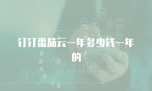 钉钉番茄云一年多少钱一年的
