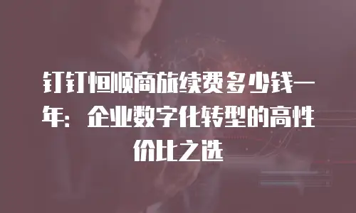 钉钉恒顺商旅续费多少钱一年：企业数字化转型的高性价比之选