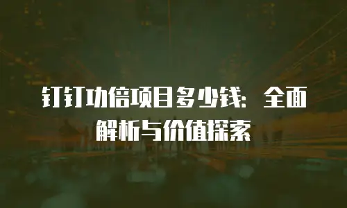 钉钉功倍项目多少钱：全面解析与价值探索