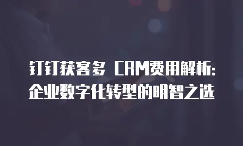 钉钉获客多 CRM费用解析：企业数字化转型的明智之选