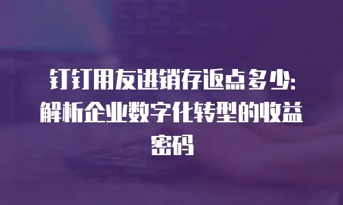 钉钉用友进销存返点多少：解析企业数字化转型的收益密码