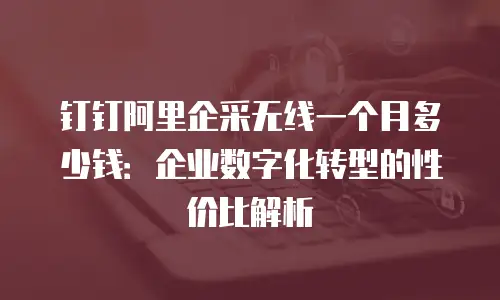 钉钉阿里企采无线一个月多少钱：企业数字化转型的性价比解析