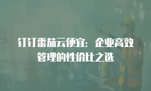 钉钉番茄云便宜：企业高效管理的性价比之选