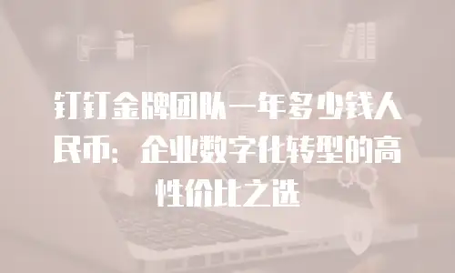 钉钉金牌团队一年多少钱人民币：企业数字化转型的高性价比之选