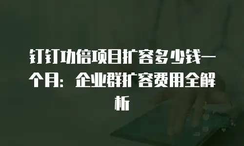 钉钉功倍项目扩容多少钱一个月：企业群扩容费用全解析