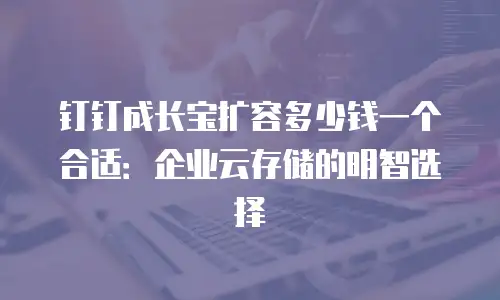 钉钉成长宝扩容多少钱一个合适：企业云存储的明智选择