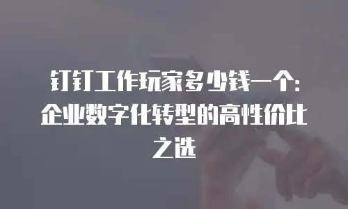 钉钉工作玩家多少钱一个：企业数字化转型的高性价比之选