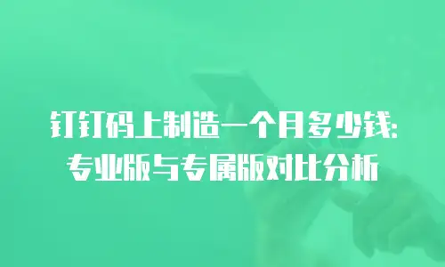 钉钉码上制造一个月多少钱：专业版与专属版对比分析