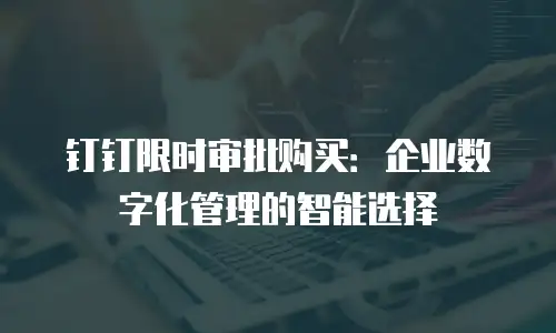 钉钉限时审批购买：企业数字化管理的智能选择