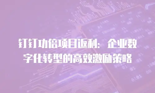 钉钉功倍项目返利：企业数字化转型的高效激励策略