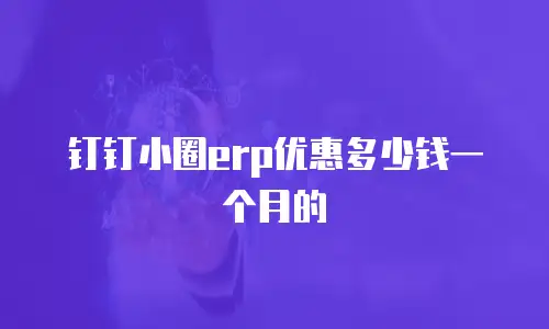 钉钉小圈erp优惠多少钱一个月的
