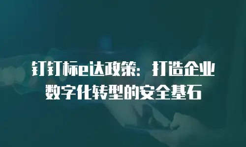 钉钉标e达政策：打造企业数字化转型的安全基石