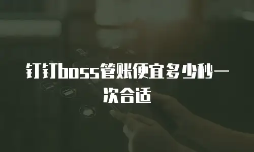 钉钉boss管账便宜多少秒一次合适