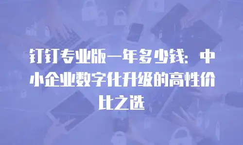 钉钉专业版一年多少钱：中小企业数字化升级的高性价比之选
