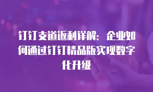 钉钉支道返利详解：企业如何通过钉钉精品版实现数字化升级