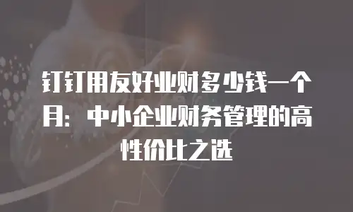 钉钉用友好业财多少钱一个月：中小企业财务管理的高性价比之选