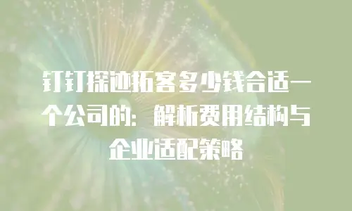 钉钉探迹拓客多少钱合适一个公司的：解析费用结构与企业适配策略