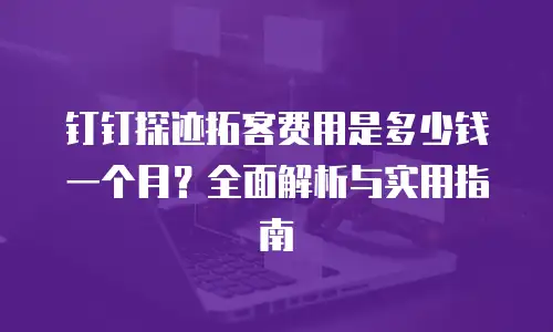钉钉探迹拓客费用是多少钱一个月？全面解析与实用指南