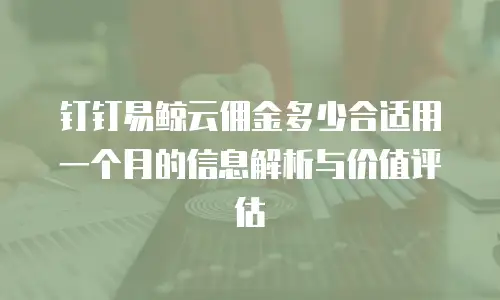 钉钉易鲸云佣金多少合适用一个月的信息解析与价值评估