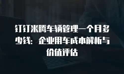 钉钉米腾车辆管理一个月多少钱：企业用车成本解析与价值评估