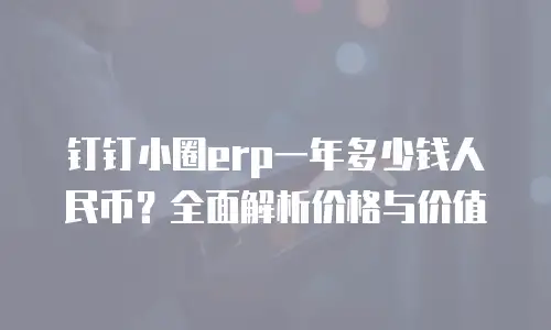 钉钉小圈erp一年多少钱人民币？全面解析价格与价值