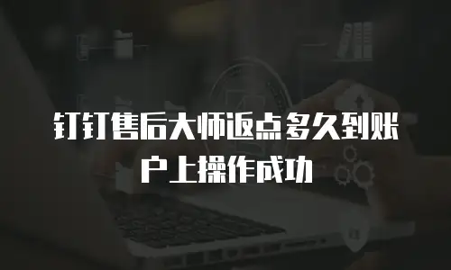 钉钉售后大师返点多久到账户上操作成功